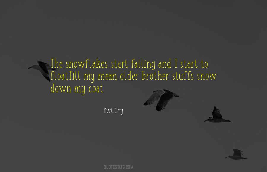 Owl City Quotes #1766876