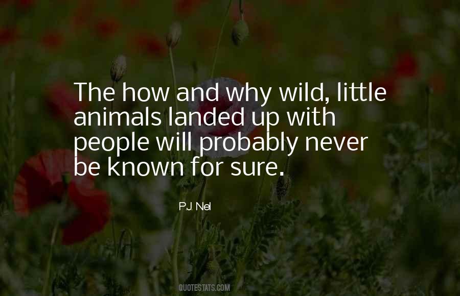 P.J. Nel Quotes #1145109 P.J. Nel Quotes #1145109