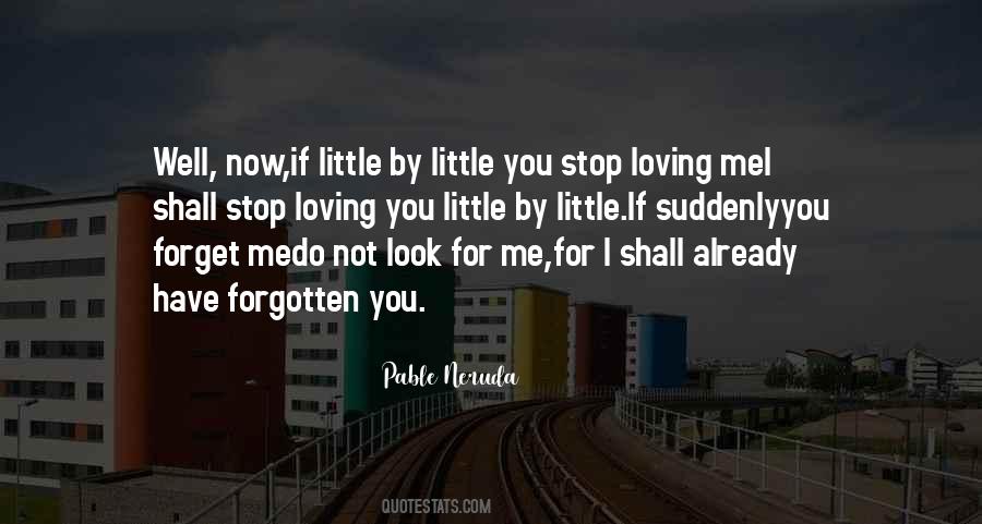 Pable Neruda Quotes #901189 Pable Neruda Quotes #901189