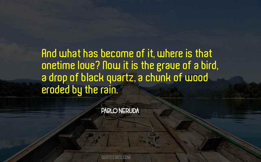 Pablo Neruda Quotes #509623
