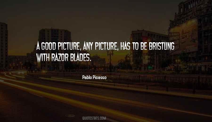 Pablo Picasso Quotes #531065 Pablo Picasso Quotes #531065