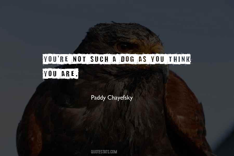 Paddy Chayefsky Quotes #410674