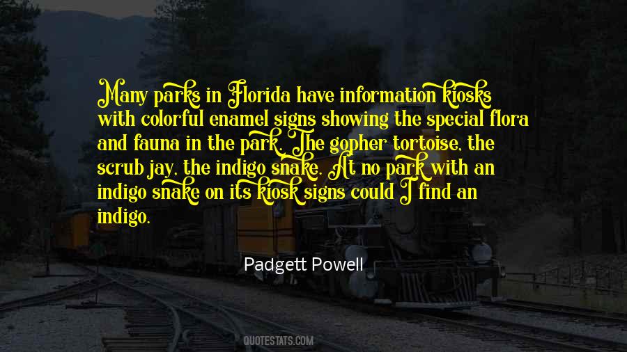 Padgett Powell Quotes #1812292