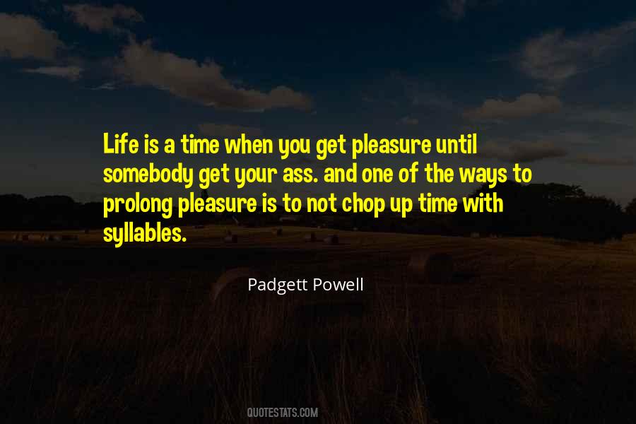 Padgett Powell Quotes #1827468