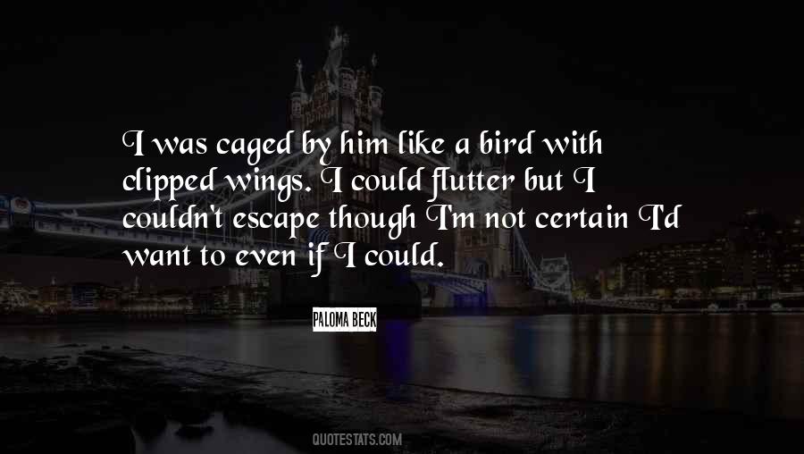 Paloma Beck Quotes #1704508