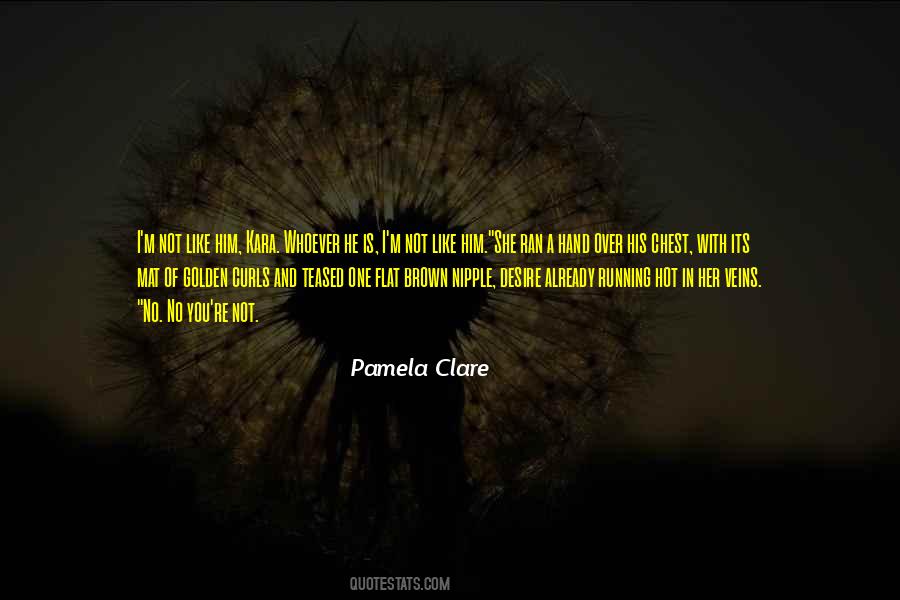 Pamela Clare Quotes #1003938