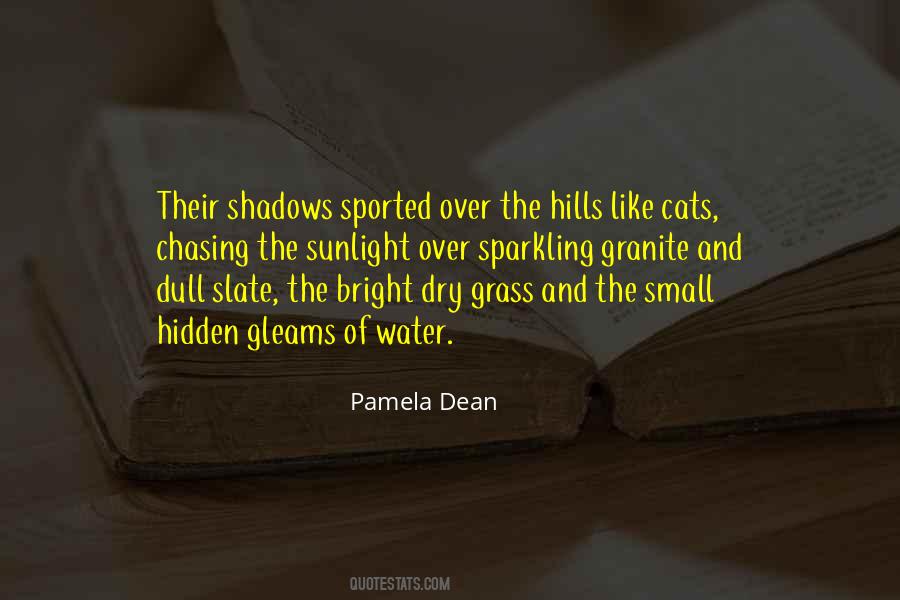 Pamela Dean Quotes #419414