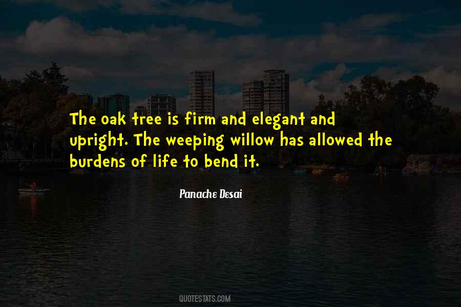 Panache Desai Quotes #1799705