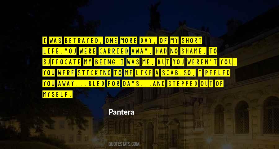 Pantera Quotes #904893 Pantera Quotes #904893