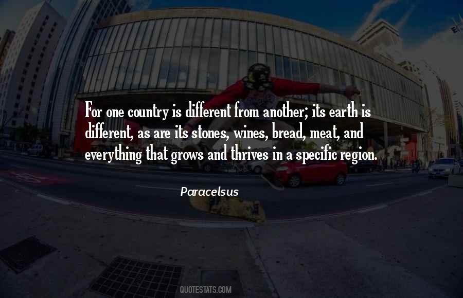 Paracelsus Quotes #40390