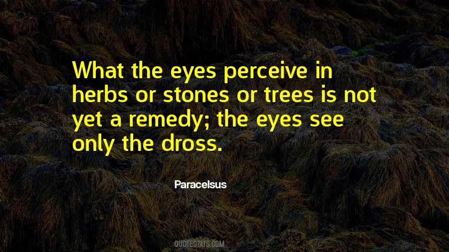 Paracelsus Quotes #730689