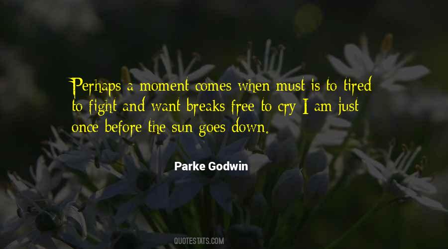Parke Godwin Quotes #1694111