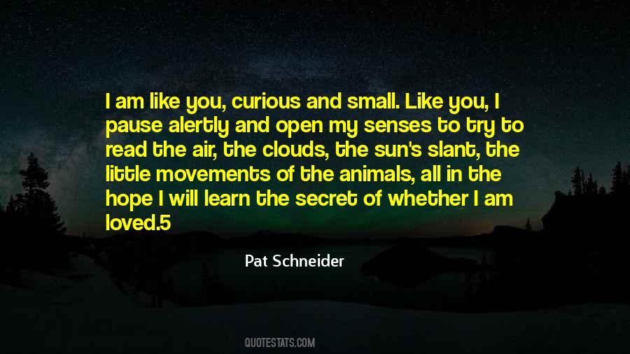 Pat Schneider Quotes #1220855