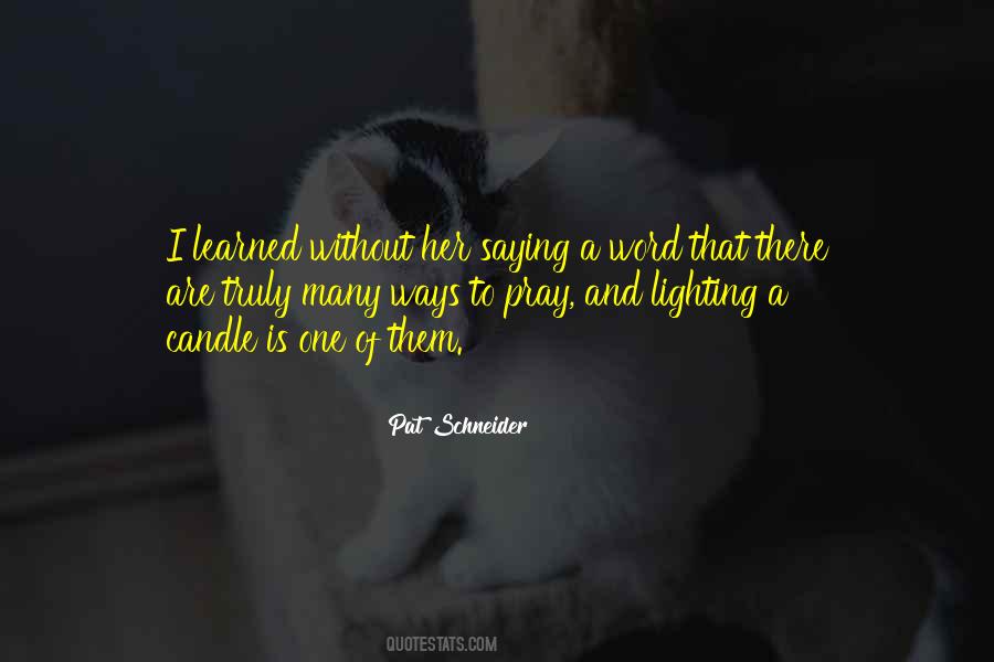 Pat Schneider Quotes #965383