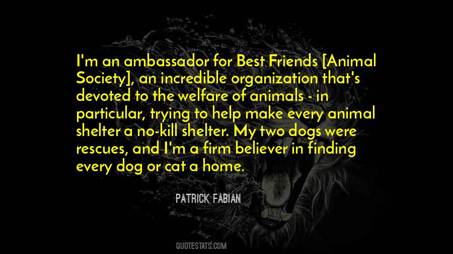 Patrick Fabian Quotes #378810