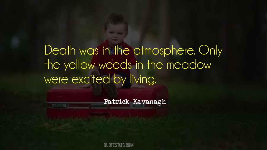 Patrick Kavanagh Quotes #1682556