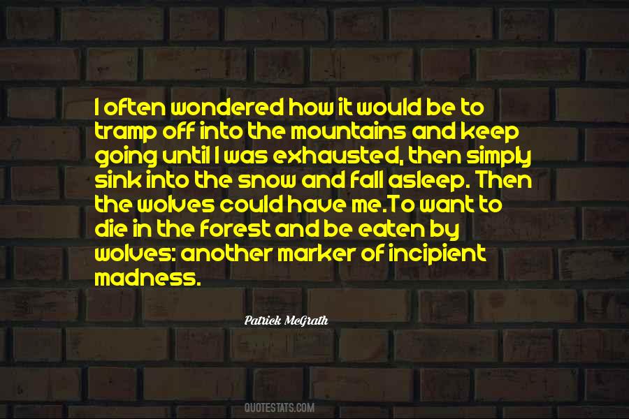 Patrick McGrath Quotes #723266
