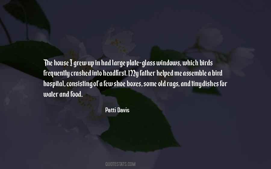 Patti Davis Quotes #1707743