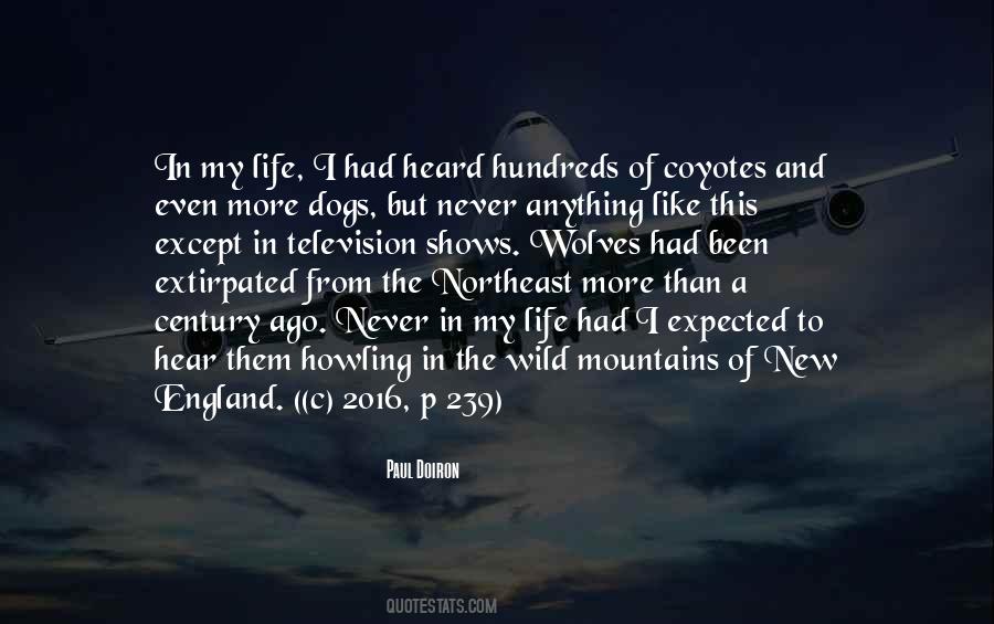 Paul Doiron Quotes #438074