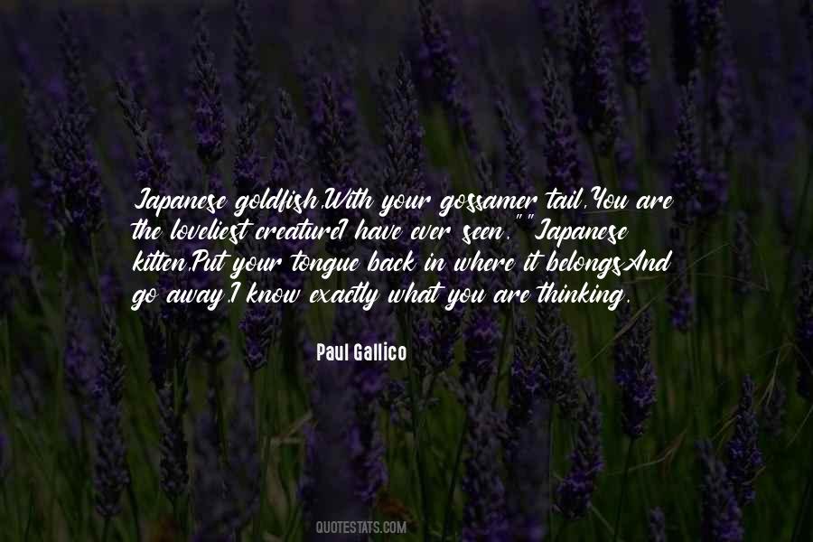 Paul Gallico Quotes #550105