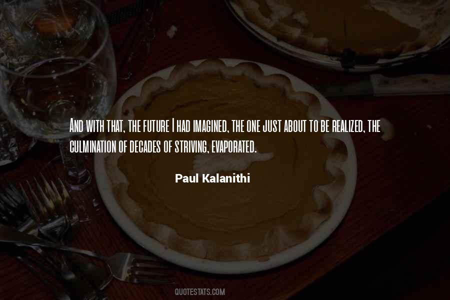 Paul Kalanithi Quotes #3399