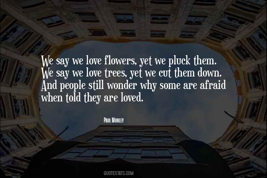Paul Morley Quotes #1246262 Paul Morley Quotes #1246262