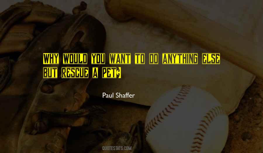 Paul Shaffer Quotes #691555