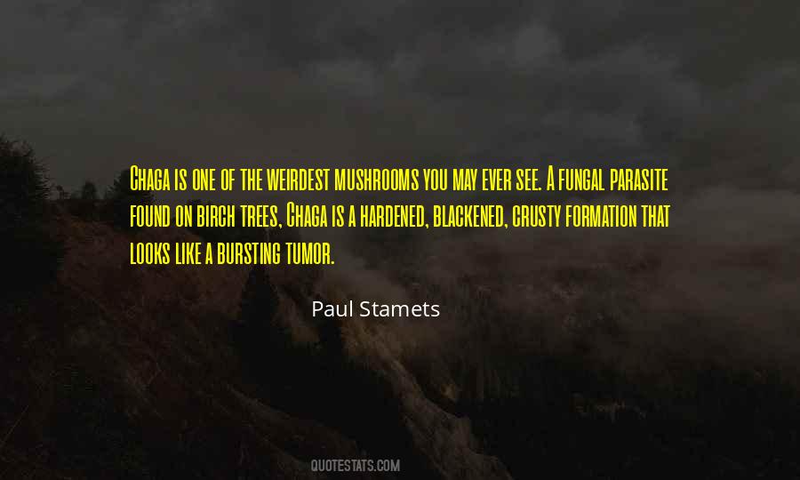 Paul Stamets Quotes #1613189