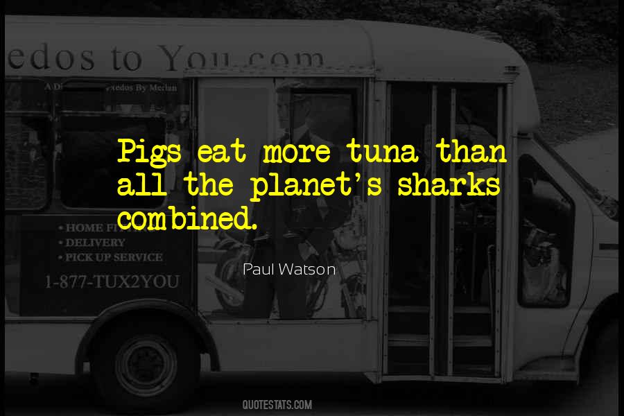 Paul Watson Quotes #145251