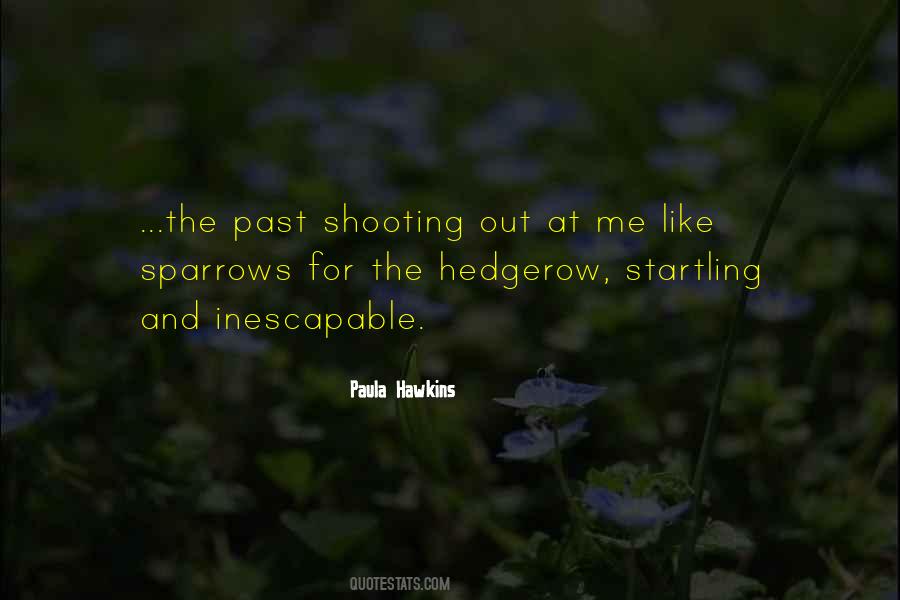 Paula Hawkins Quotes #191146