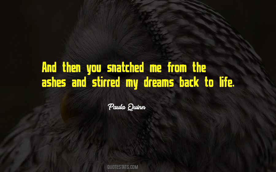 Paula Quinn Quotes #1158851