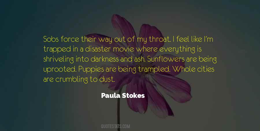 Paula Stokes Quotes #1686986