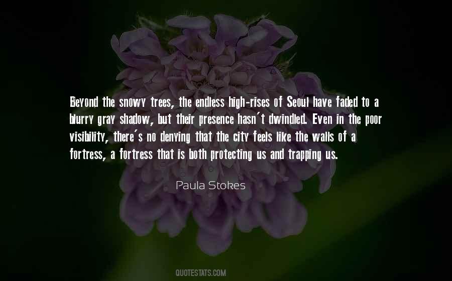 Paula Stokes Quotes #402401