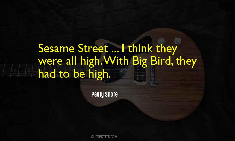 Pauly Shore Quotes #1205072