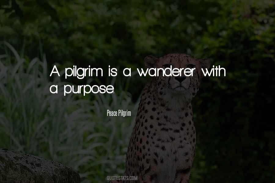 Peace Pilgrim Quotes #1076108
