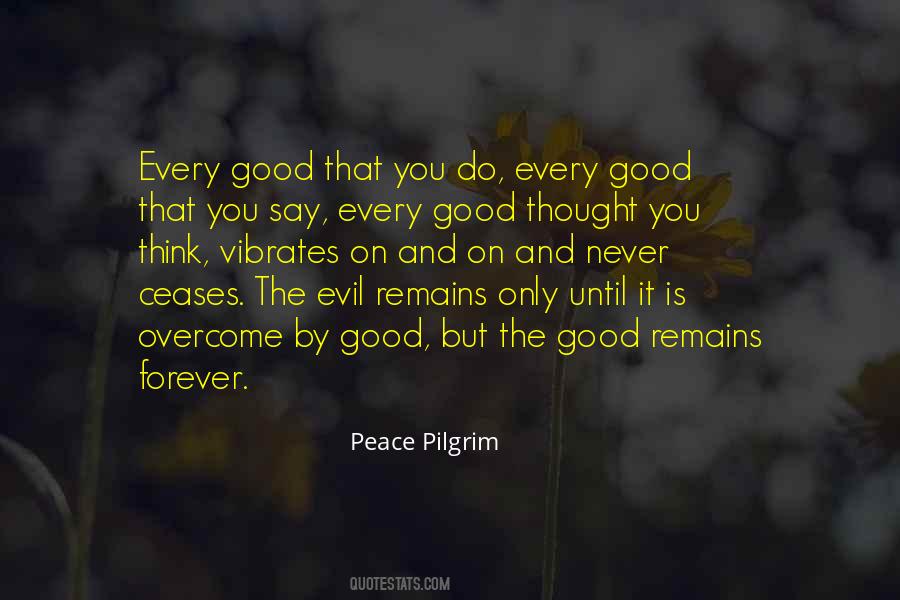 Peace Pilgrim Quotes #1193943