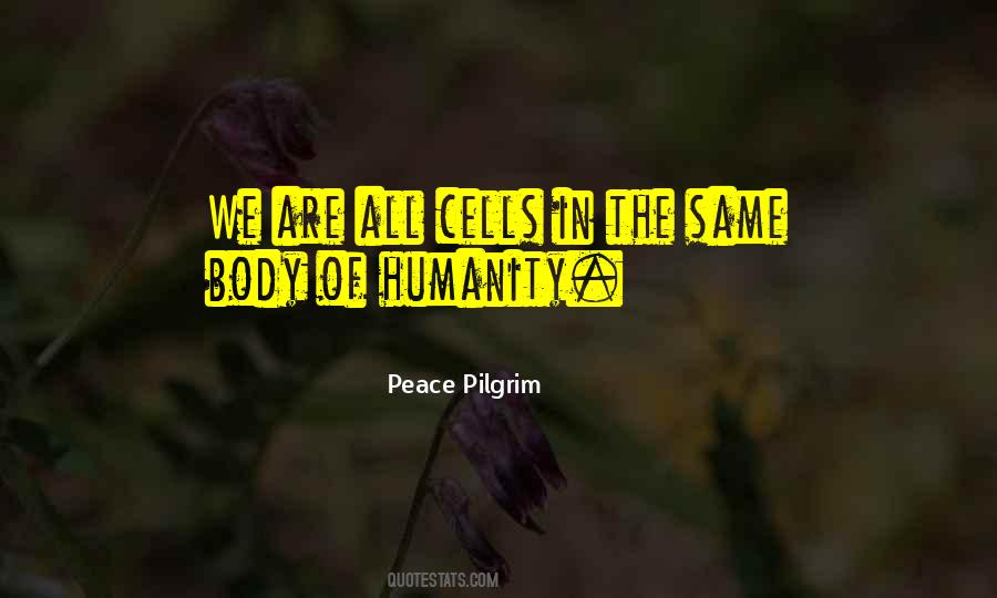 Peace Pilgrim Quotes #617271