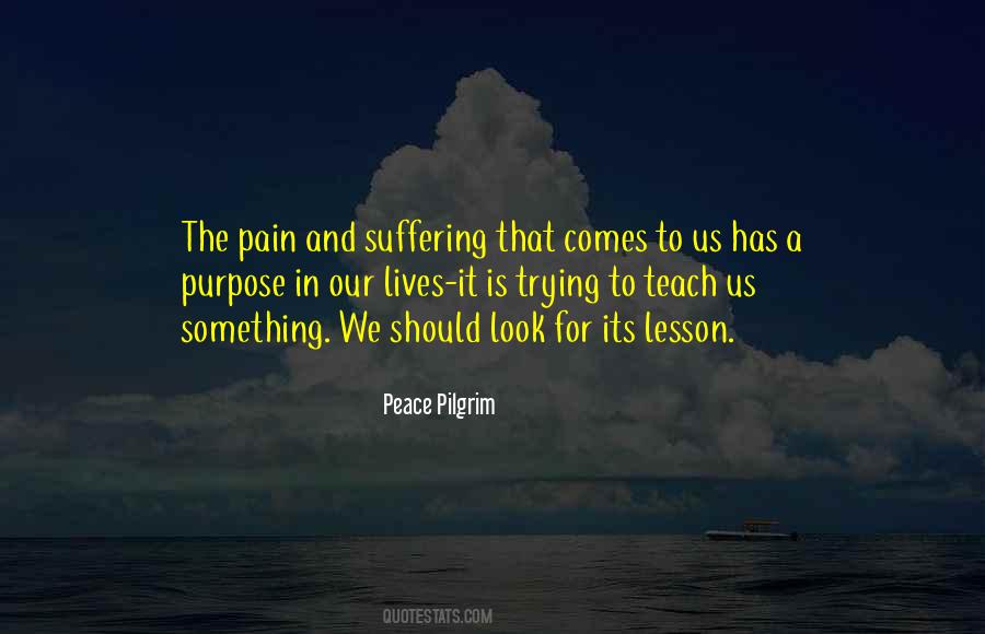 Peace Pilgrim Quotes #705595
