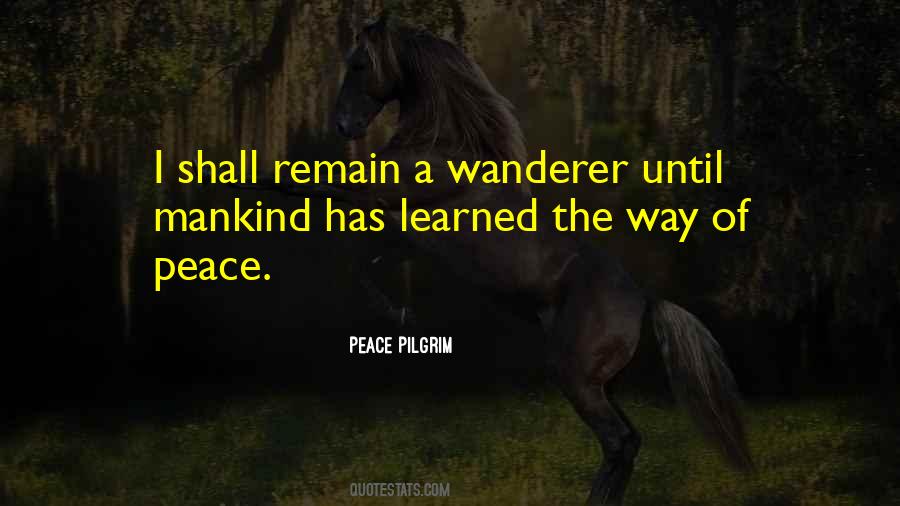 Peace Pilgrim Quotes #726991