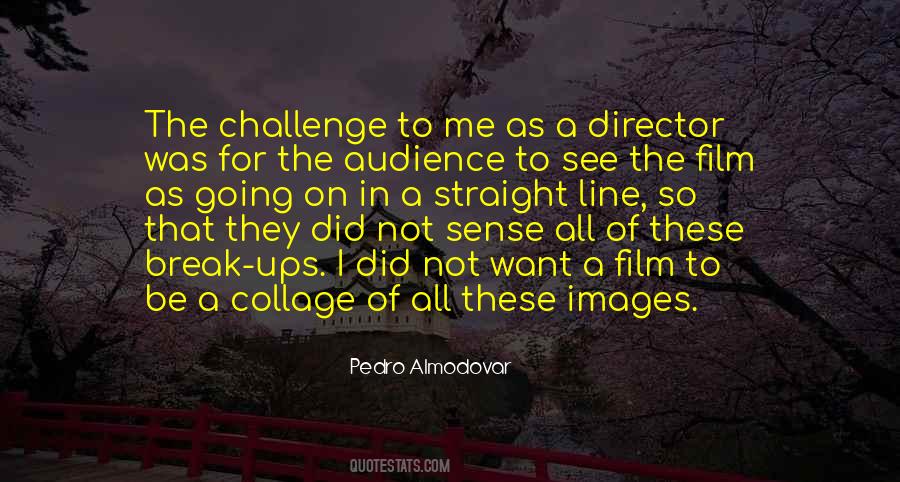 Pedro Almodovar Quotes #399773