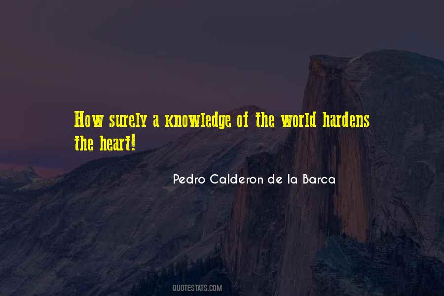 Pedro Calderon De La Barca Quotes #889046