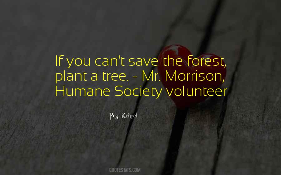 Peg Kehret Quotes #1687213