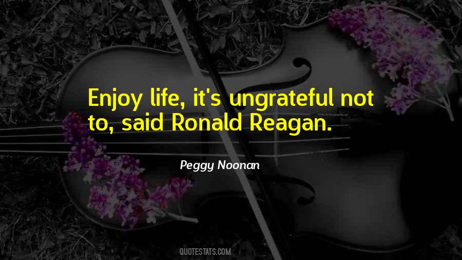 Peggy Noonan Quotes #1534662