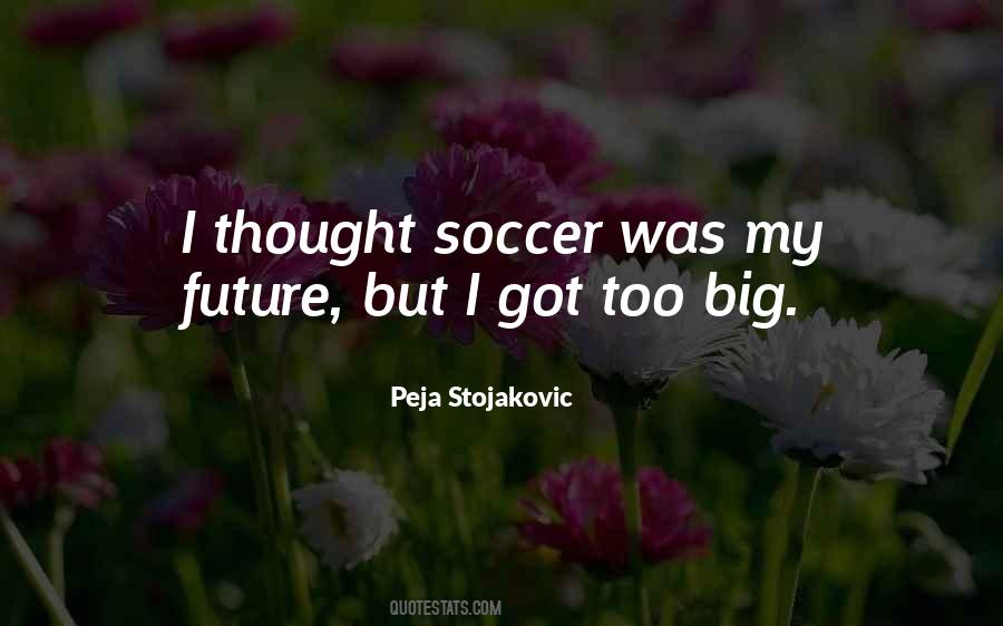 Peja Stojakovic Quotes #132051
