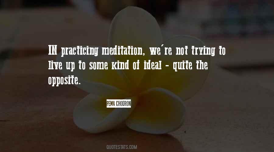 Pema Chodron Quotes #1255852