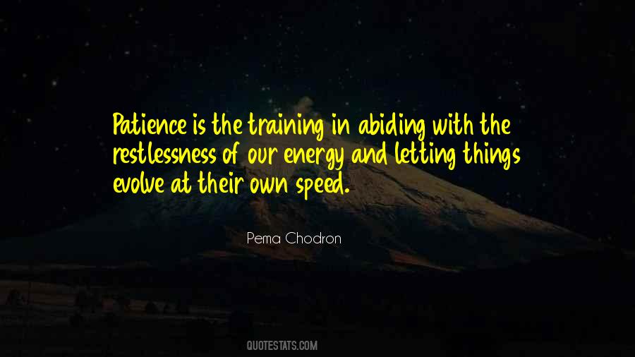 Pema Chodron Quotes #1308595