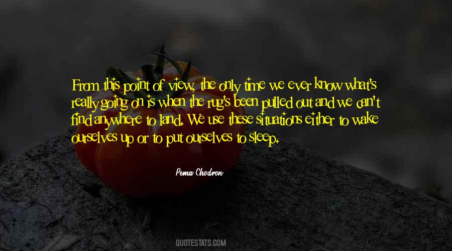 Pema Chodron Quotes #1838847