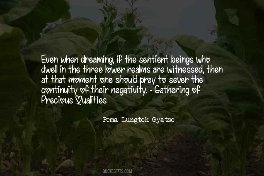 Pema Lungtok Gyatso Quotes #586737