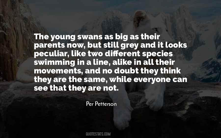 Per Petterson Quotes #193036