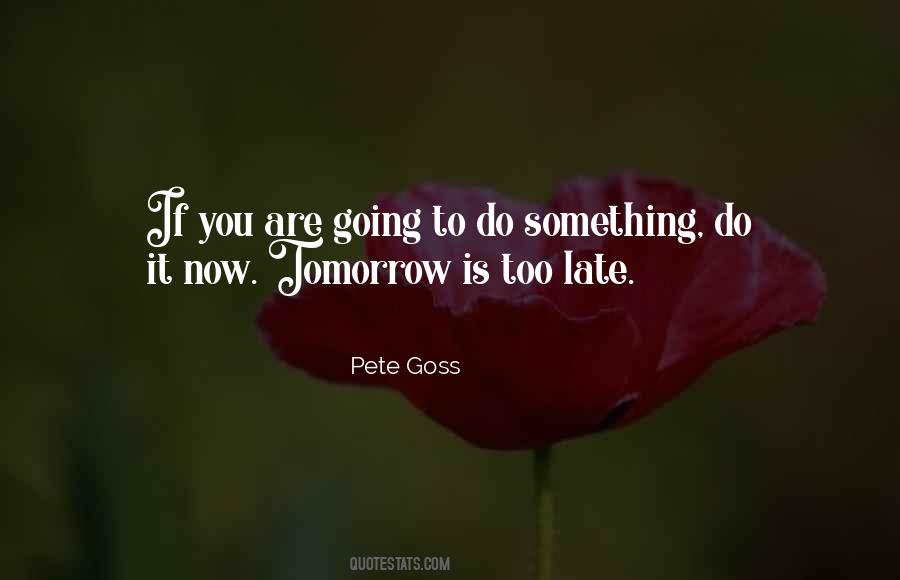 Pete Goss Quotes #1610458